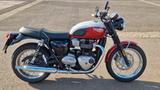 Triumph Bonneville T100 Bud Ekins "Sondermodell" - TRIUMPH BONNEVILLE T100