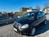 Lancia Ypsilon 1.2 benzina - gebrauchte Lancia Ypsilon aus dem Jahr 2008