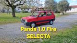 Fiat Panda 1100 i.e. cat Selecta A/FF/ARE - Fiat Panda aus 1996
