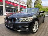BMW 220d Cabrio Aut.M Sport|LEDER|NAVI|BI-XENON|1.HA - BMW 220 in Duisburg