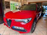 Alfa Romeo Stelvio 2.0 Turbo 16V 147kW B-Tech AT8-Q4 B-Tech - Alfa Romeo in Dortmund
