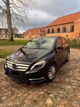 Mercedes-Benz 200 - Mercedes-Benz 220: Sitzheizung