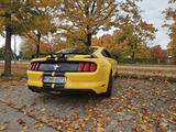 Ford Mustang 3.7 *LPG*   - gebrauchte Ford Mustang aus dem Jahr 2017