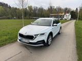 Skoda Oktavia Scout 4x4 - Skoda: Oktavia