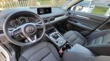 Mazda CX-5 2.2 SKYACTIV-D 150  Ad'vantage AWD  - Mazda CX-5 Ad'vantage Gebrauchtwagen