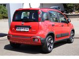 Fiat Panda CROSS RED 1.0 GSE HYBRID CITY PAKET PDC DA - Fiat Panda: Rot