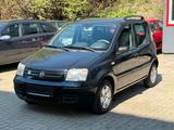 Fiat Panda 1.2 8V Dynamic/Klima/Top-Zustand - Fiat Panda in Hagen
