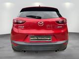 Mazda CX-3 2.0l "Sports-Line" "LIC-P" "NAVI" - gebrauchte Mazda CX-3 aus dem Jahr 2017
