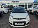Fiat Panda Easy+ZAHNRIEMENNEU+KLIMA+ALLWETTER+DAB+4SI - Fiat Panda: 4.4