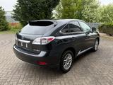 Lexus  Ambience Line VOLL, Luftfederung, ACC - Lexus: L