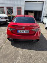 Alfa Romeo Giulia 2.9 V6 Bi-Turbo 382 kW AT8 Quadrifogl... - Alfa Romeo Giulia: Sportwagen