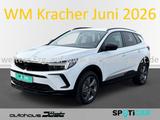 Opel Grandland GS 1.2 T RFK-360 NAVI Keyl. Totw. uvm. - Opel Grandland (X) in Ludwigshafen