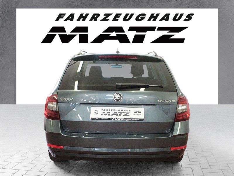 Fahrzeugabbildung SKODA Octavia 1.6 TDI CLEVER Combi  Navigation