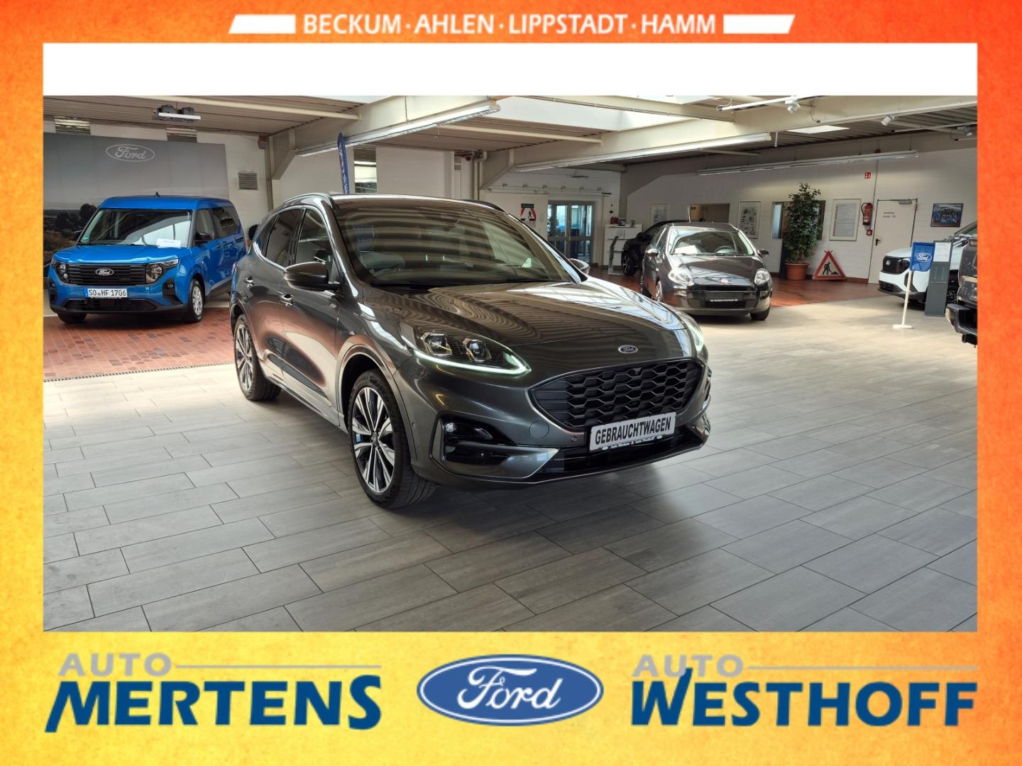 Ford Kuga Plug-In Hybrid ST-Line X MatrixLED ACC Wint