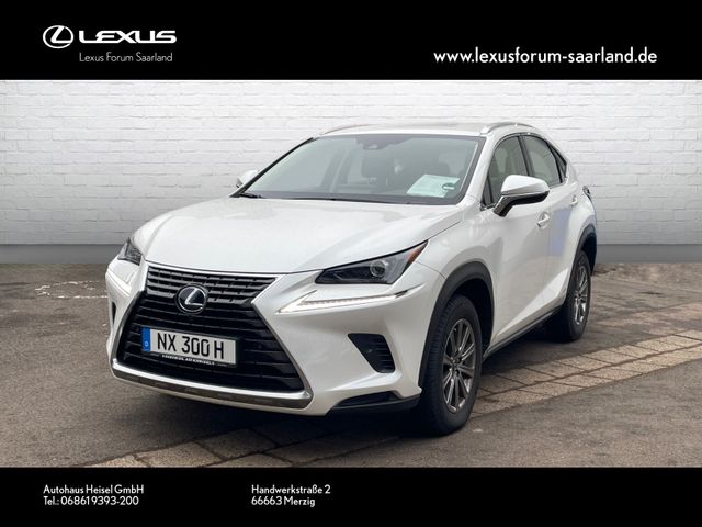 Lexus NX 300h Amazing Edition