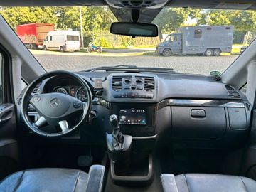 Mercedes Viano - 8