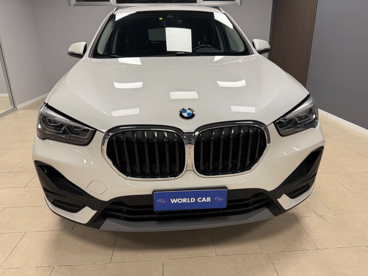 BMW Bmw X1 xDrive20d Advantage imagem 2
