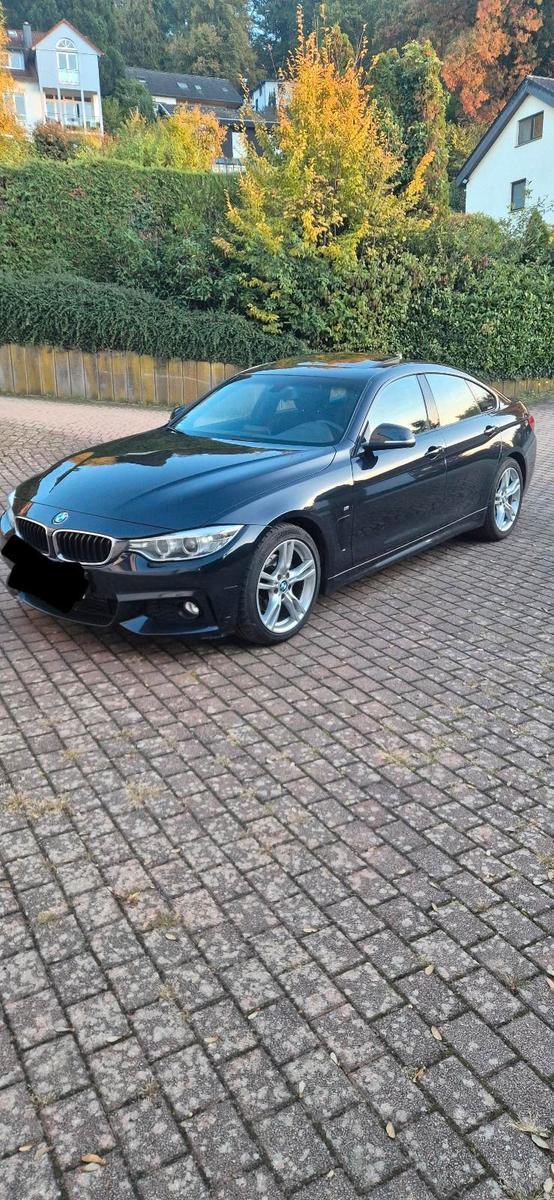 BMW 420