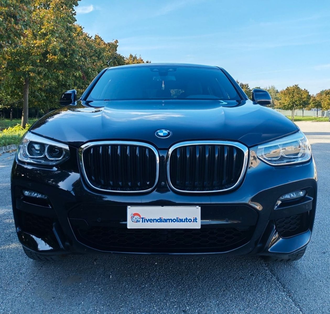 BMW Bmw X4 xDrive30d 48V 249CV Msport imagem 3