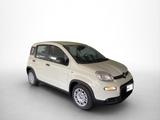 Fiat Panda Hybrid 1.0 GSE 51kw (70PS) - Fiat Panda Tageszulassungen