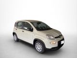Fiat Panda Hybrid 1.0 GSE 51kw (70PS) - Fiat Panda Tageszulassungen