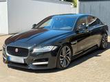 Jaguar XF30d R-Sport British Design Editio... - Jaguar XF in Essen