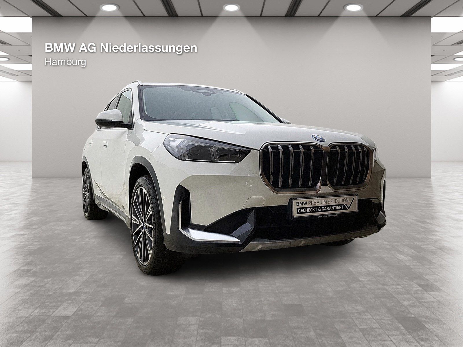 BMW X1 xDrive30e AHK Driv.Assist.Prof Harman/K LED foto 7