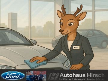 Ford Focus - 1
