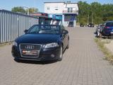 Audi A3 Cabriolet S line Sportpaket / plus*Leder - Audi A3 aus 2008: Line