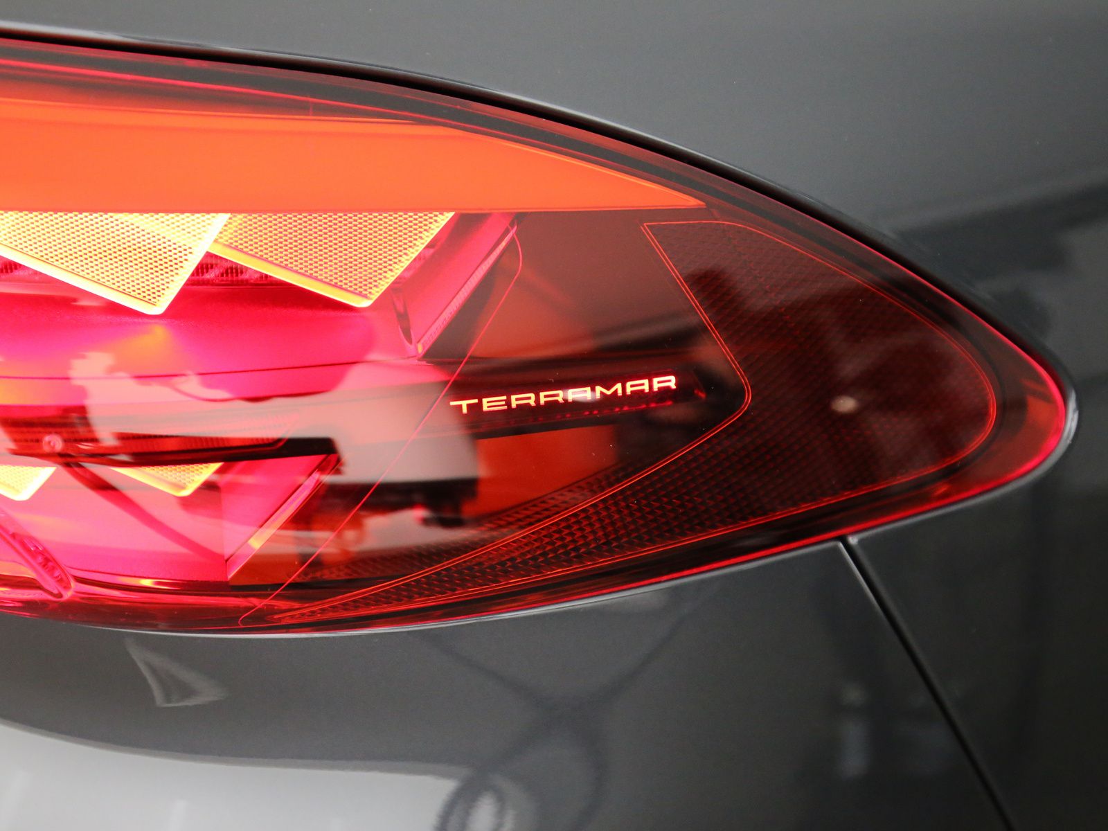 Cupra Terramar - Bild 33