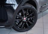 Jaguar E-PACE P250 R-Dynamic *1.H *20 *Digital *Memory - Jaguar: Schwarz