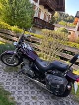 Kawasaki EN500 - Offers