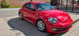 Volkswagen VW Beetle 1.4 TSI Sportline / STEUERKETTE NEU