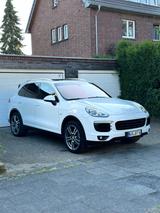 Porsche Cayenne Diesel - - Porsche Cayenne Gebrauchtwagen in Duisburg