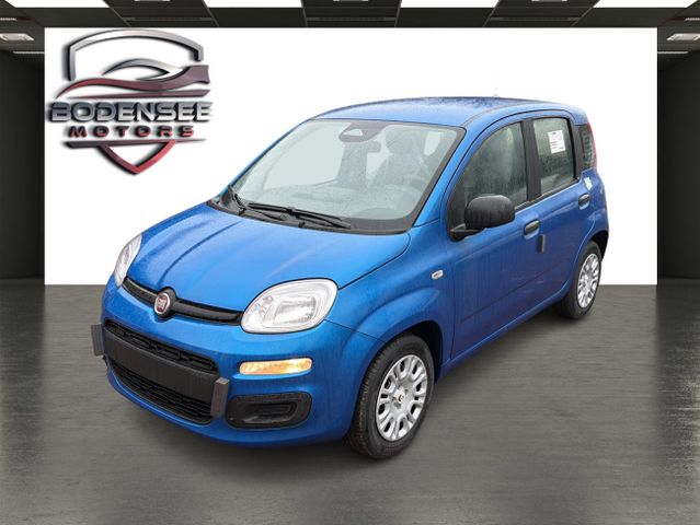 Fiat Panda Pandina Icon