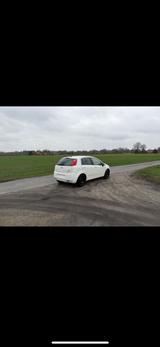 Fiat Punto 1.4  78 PS  2008  Top Zustan... - Fiat Grande Punto