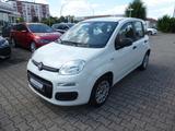 Fiat Panda Easy 1.2 8V + Klima - gebrauchte Fiat Panda aus dem Jahr 2018