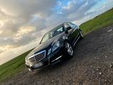 Mercedes-Benz Mercedes Benz E350 CGI blueefficiency 7g t... - Mercedes-Benz E 350 in Bonn