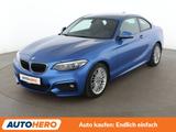 BMW 218d M Sport*NAVI*PDC*TEMPO*SHZ* - BMW 218: 218d
