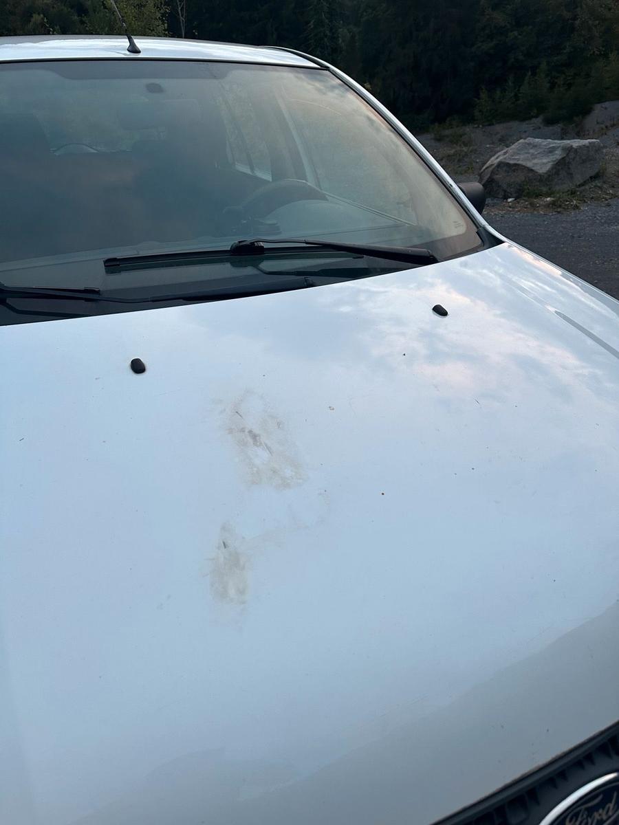 Ford Fusion 2008 — photo 10