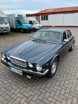 Jaguar XJ12 - Jaguar XJ12 von privat