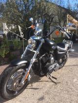 Harley-Davidson Sportster XL 1200 CB Custom - HARLEY-DAVIDSON SPORTSTER 1200 C