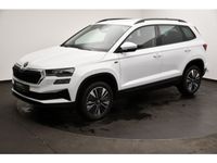 Skoda Karoq - Vorschau Bild 1