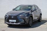 Lexus NX 350h Executive Line + Interieur Paket + Techn - graue Lexus NX 350h