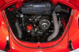 Volkswagen Kever Cabrio - Volkswagen Käfer: Rot
