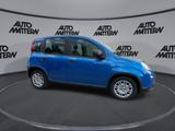 Fiat Panda 1,0 Hybrid PDC TFT Tacho Klima Bluetooth - Fiat Panda Gebrauchtwagen in Bielefeld