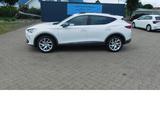 Cupra Formentor Cupra 1.5 TSI BMT Klima LED Alu Navi - Cupra Formentor mit Benzin-Antrieb: Sportwagen