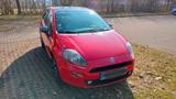 Fiat Punto Young - Fiat Punto: Young