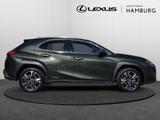 Lexus UX 250h Style Edition LENKRADHEIZUNG LED Carplay - gebrauchte Lexus SUV & Geländewagen