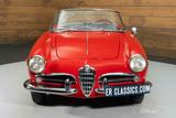 Alfa Romeo Spider Guilietta Cabrio - 1961 - Alfa Romeo Oldtimer: Cabrio